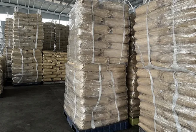 Nuoxin masterbatch factory