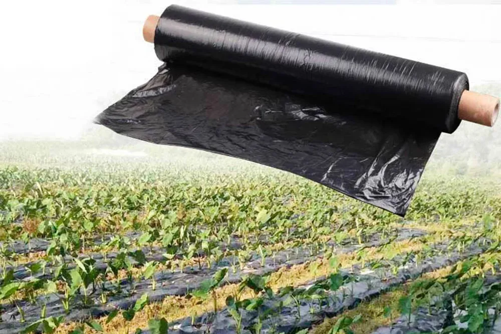 How Does Masterbatch Work in Plastic Processing