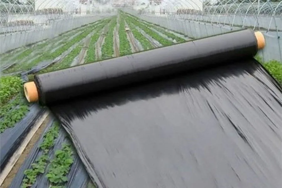 LLDPE vs HDPE Material Trends in Packaging and Masterbatch Matching